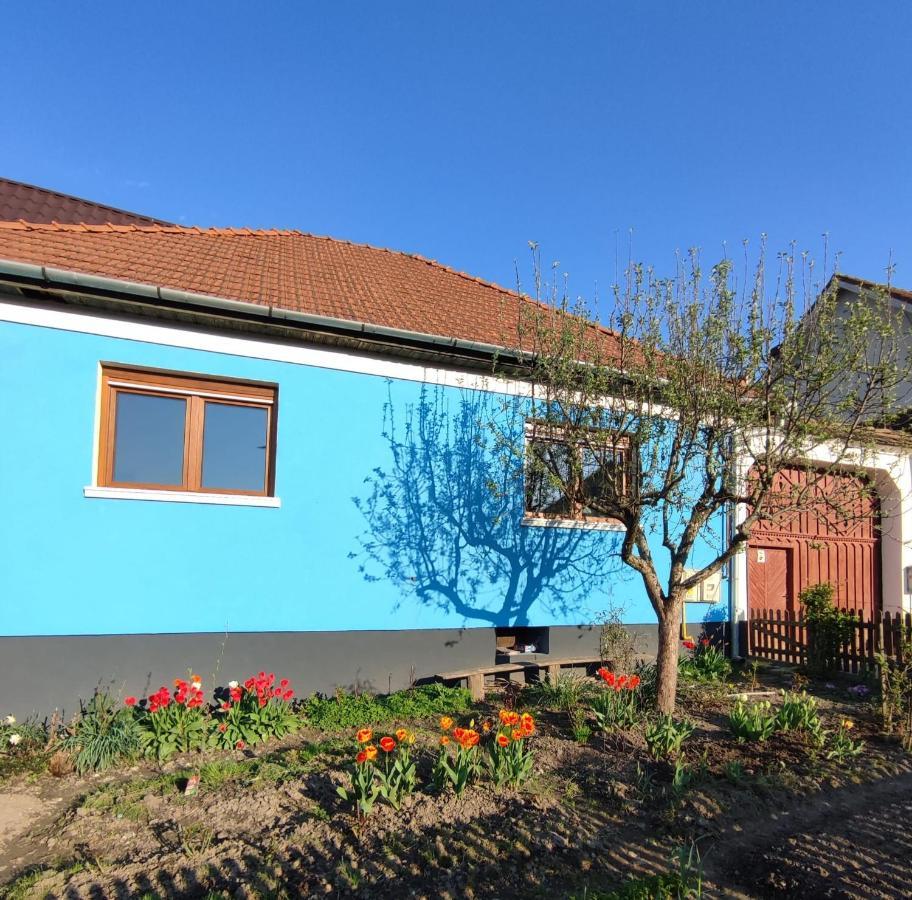 Blue Home Avrig Exteriér fotografie